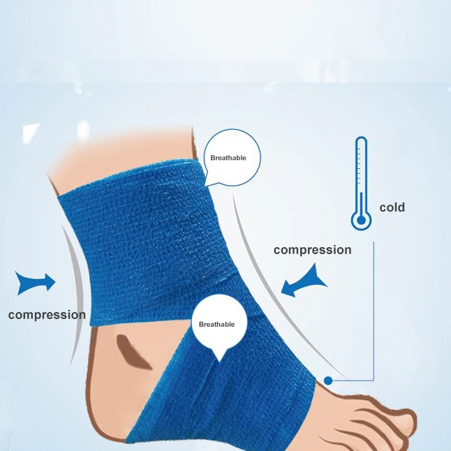 photobank 7 photobank 7